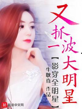 明星小说,明星小说中的璀璨人生